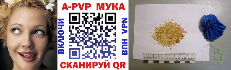 где найти   дарк нет телеграм  Alpha PVP СК  Камешково 