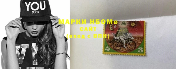 индика Болотное