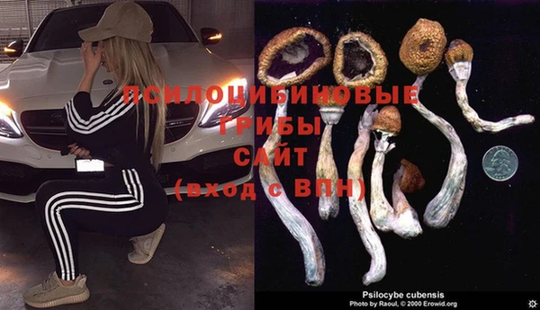 гашик Баксан