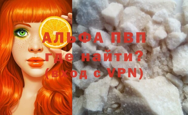 гашик Баксан
