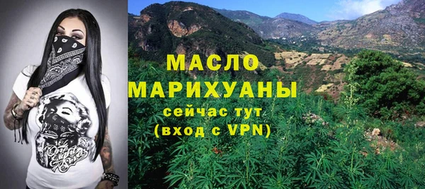 индика Болотное